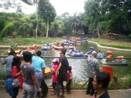 Taman Margasatwa Ragunan Pengunjungnya Naik 40% Saat Idul Adha